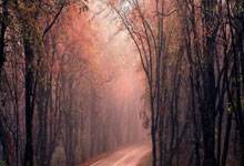 fun88官网:世体:巴萨正考虑下赛季门将阵容,弗里克决定是否续约什琴斯尼.