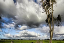 [视频]俄称又控制两个居民点 乌称多地遭俄空袭.