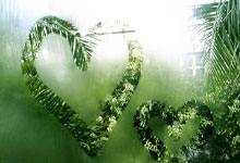 2021賽季中超聯賽上海海港賽程表.